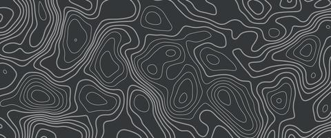topografisch achtergrond en textuur. abstractie met plaats voor tekst. topo backdrop lijnen, contour, geografisch rooster. modern zwart en wit topografisch contouren lijnen van bergen. topografie kaart kunst vector