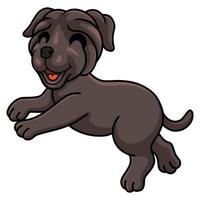 schattig Napolitaans mastiff hond tekenfilm vector