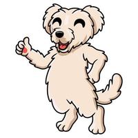 schattig Maltees puppy hond tekenfilm geven duim omhoog vector