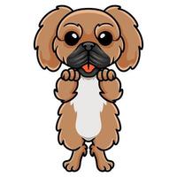 schattig weinig pekingese hond tekenfilm vector