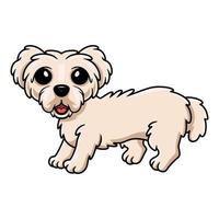 schattig Maltees puppy hond tekenfilm vector