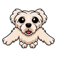 schattig Maltees puppy hond tekenfilm Holding blanco teken vector