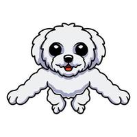 schattig bichon frise tekenfilm poseren vector