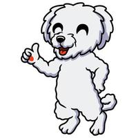 schattig bichon frise tekenfilm geven duim omhoog vector