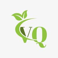 vq brief logo met swoosh bladeren icoon vector. pro vector. vector