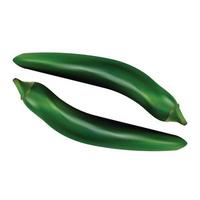realistisch groen chili vector ontwerp