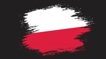 vrij penseelstreek Polen vlag vector