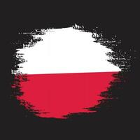 kleurrijk hand- verf Polen grunge vlag vector