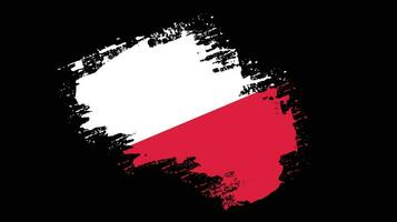 polen grunge vlag vector