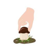 porcini champignons vector illustratie. hand- plukken vers boleet. herfst paddestoel verzameling seizoen.