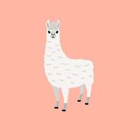 wit lama vector schattig dier illustratie