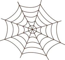 spin geweven web, mooi en delicaat illustratie vector