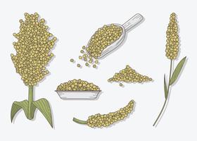 sorghum pack vector