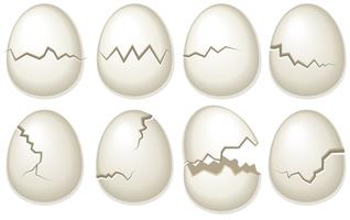 Vector set van gebroken ei-shells