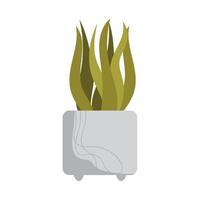 kamerplant in wit pot vector