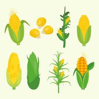 Gratis maïs Plant Vector