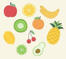 vector fruit gezond voedsel