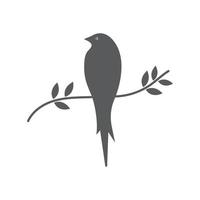 vogel vleugel duif logo vector