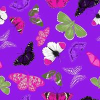 vlinders vector schetsen