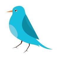 blauw vogel dier vector