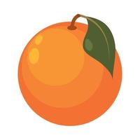 oranje fruit eten vector