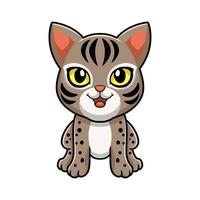 schattig ocicat kat tekenfilm zittend vector