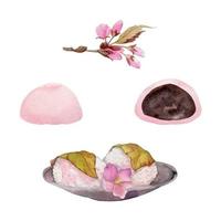 waterverf hand- getrokken traditioneel Japans snoepgoed. voorjaar wagashi, sakura mochi, daifuku, kers. geïsoleerd Aan wit achtergrond. ontwerp voor uitnodigingen, restaurant menu, groet kaarten, afdrukken, textiel vector