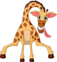 tekenfilm giraffe Aan wit achtergrond vector