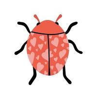 kleurrijk lieveheersbeestje. vector tekenfilm lieveheersbeestje schetsen met harten. schattig en lief dame vlieg Aan wit achtergrond. lief insect in rood kleuren.