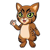 schattig pixie bob kat tekenfilm golvend hand- vector