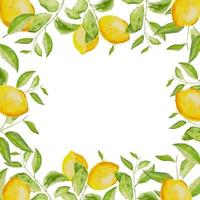 hand getekend waterverf schilderij citroen kader Aan wit achtergrond. vector illustratie van groen bladeren, bloemen, knoppen, en takken.