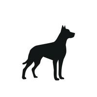 vector beeld van een hond labrador Aan wit achtergrond