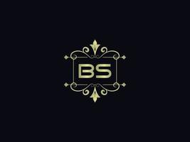 brief bs logo icoon, eerste bs luxe logo brief vector