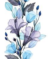 waterverf naadloos grens met transparant hibiscus bloemen. delicaat afdrukken met grijs en blauw bloemen en bladeren. röntgenstraal vector