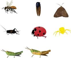 selectie van insect illustratie vector