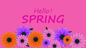 Hallo voorjaar tekst banier groeten met kleurrijk bloemen Aan roze achtergrond. geschikt voor voorjaar seizoen achtergrond. vector illustratie. eps 10.