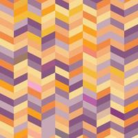 naadloos hipster decoratief meetkundig zigzag achtergrond patroon vector