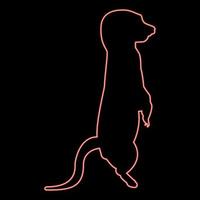 neon meerkat in houding suricata suricatta rood kleur vector illustratie beeld vlak stijl