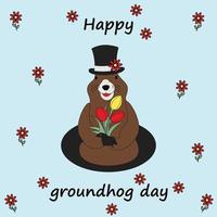 kleurrijk beeld van een groundhog in een hoed met een boeket tulp komt eraan uit van zijn gat. groundhog dag vector