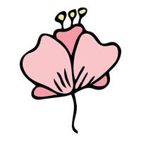 gemakkelijk bloem clip art. hand- getrokken bloemen tekening. voor afdrukken, web, ontwerp, decor, logo vector