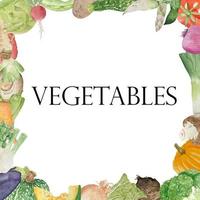 waterverf kader met divers groenten Aan wit achtergrond vlak indeling. concept van gezond aan het eten, voedsel achtergrond. kader van groenten vector
