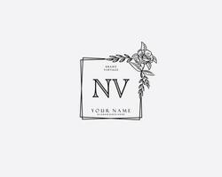 eerste nv schoonheid monogram en elegant logo ontwerp, handschrift logo van eerste handtekening, bruiloft, mode, bloemen en botanisch met creatief sjabloon. vector