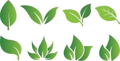reeks van abstract geïsoleerd groen bladeren pictogrammen Aan wit achtergrond vector