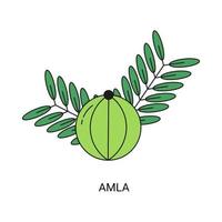 amla exotisch fruit icoon element voor web vector