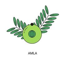 amla exotisch fruit icoon element voor web vector