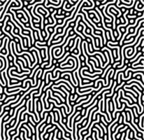 zwart en wit lijn patronen vector