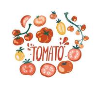 vers tomaten in ronde vorm.rijp biologisch groenten banier, poster, kaart ontwerp sjabloon. bio tuin Bijsnijden. boerderij producten illustratie vector
