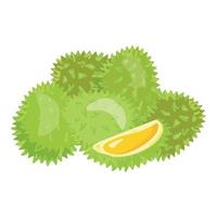 durian toetje icoon tekenfilm vector. biologisch fruit vector