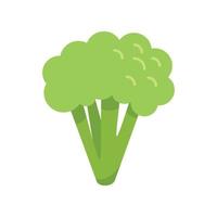 brocoli bundel icoon vlak vector. kool groente vector