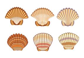 Set van Sint-jakobsschelpen shell Illustratie geïsoleerd op een witte achtergrond vector